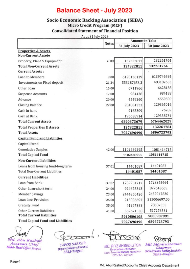 schedule 3 balance sheet format 2024